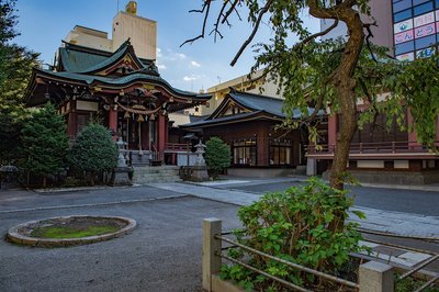 ⛩️ 가시와 신사(가시와진자) 이미지 10